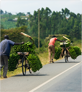 MORE WAYS TO SUPPORT CAAPSS